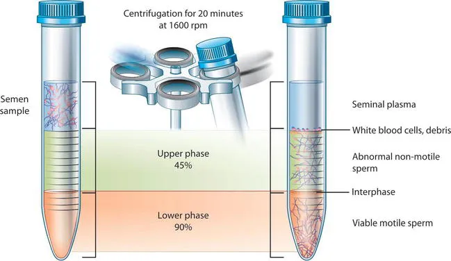 The advantages of Gradient method
