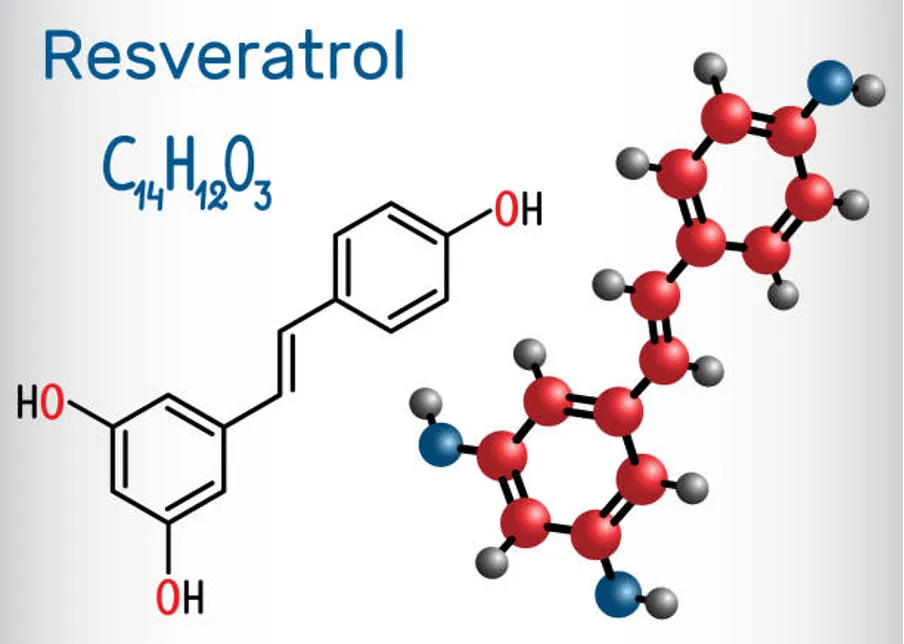 Resveratrol Molecular Structure and Sources
